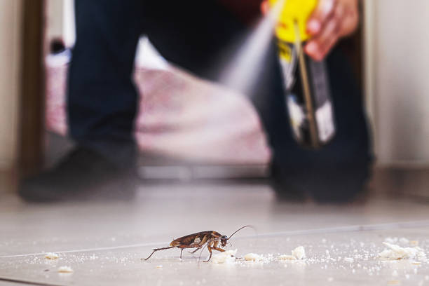 Best Pest Removal Services  in Sanatoga, PA