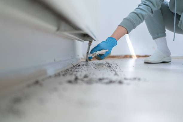 Best Cockroach Control Services  in Sanatoga, PA