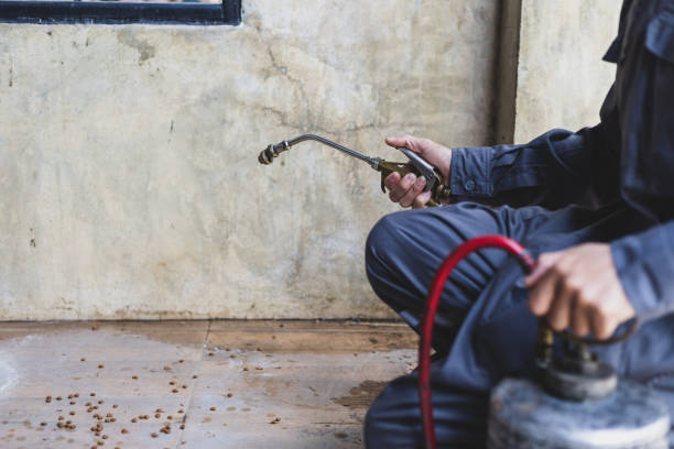 Best Wasp Removal Services  in Sanatoga, PA